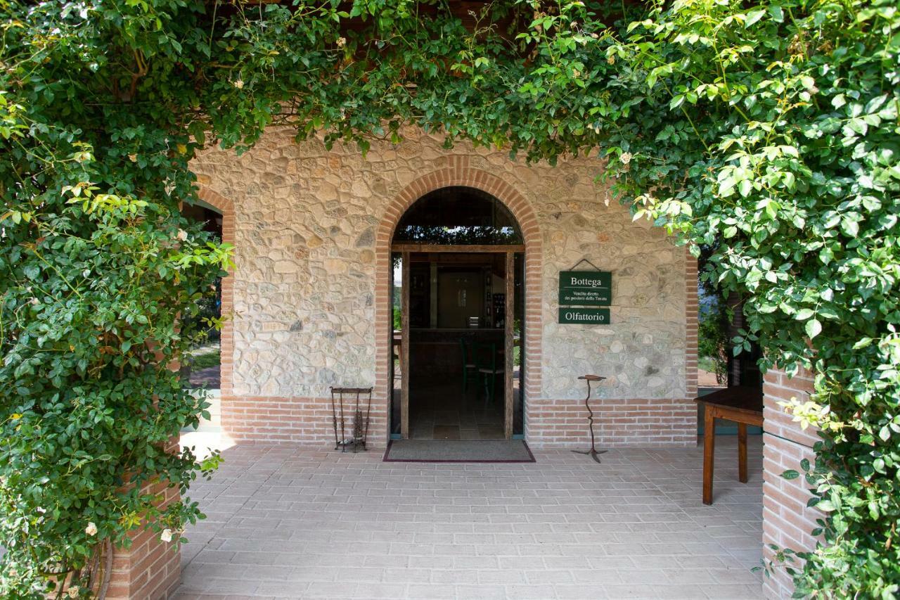 Tenuta Saiano Resort Torriana Kültér fotó