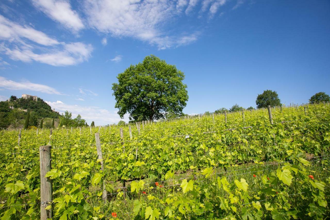 Tenuta Saiano Resort Torriana Kültér fotó